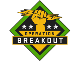 The Breakout Collection Skins